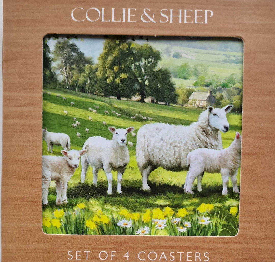 Porzellan Untersetzer , 4er Set aus der "Collie & Sheep" Serie.