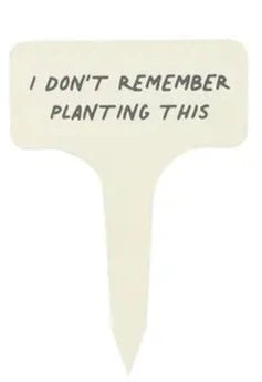 Mini MDF/ Holzschild zum Einstecken in Blumentöpfe oder Beete : "I don't remember planting this"