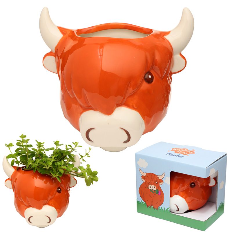 Highland Cow Wand-Blumentopf - British Moments / Fernweh-Kaufhaus