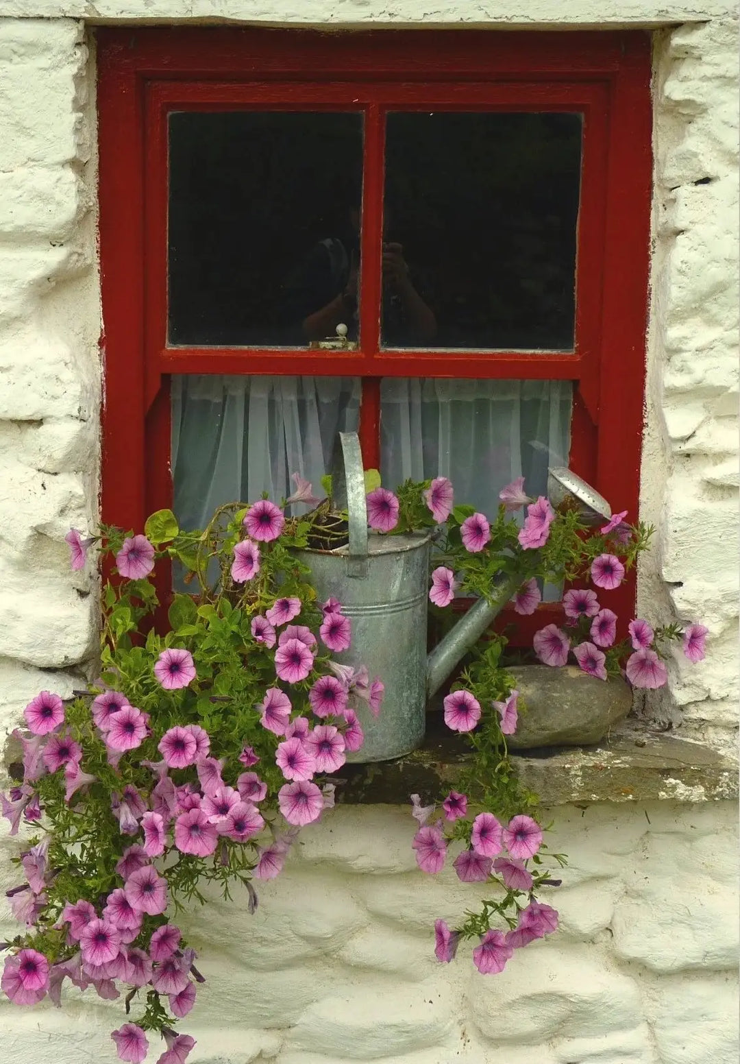 2nd Floor: Home & Garden Irland