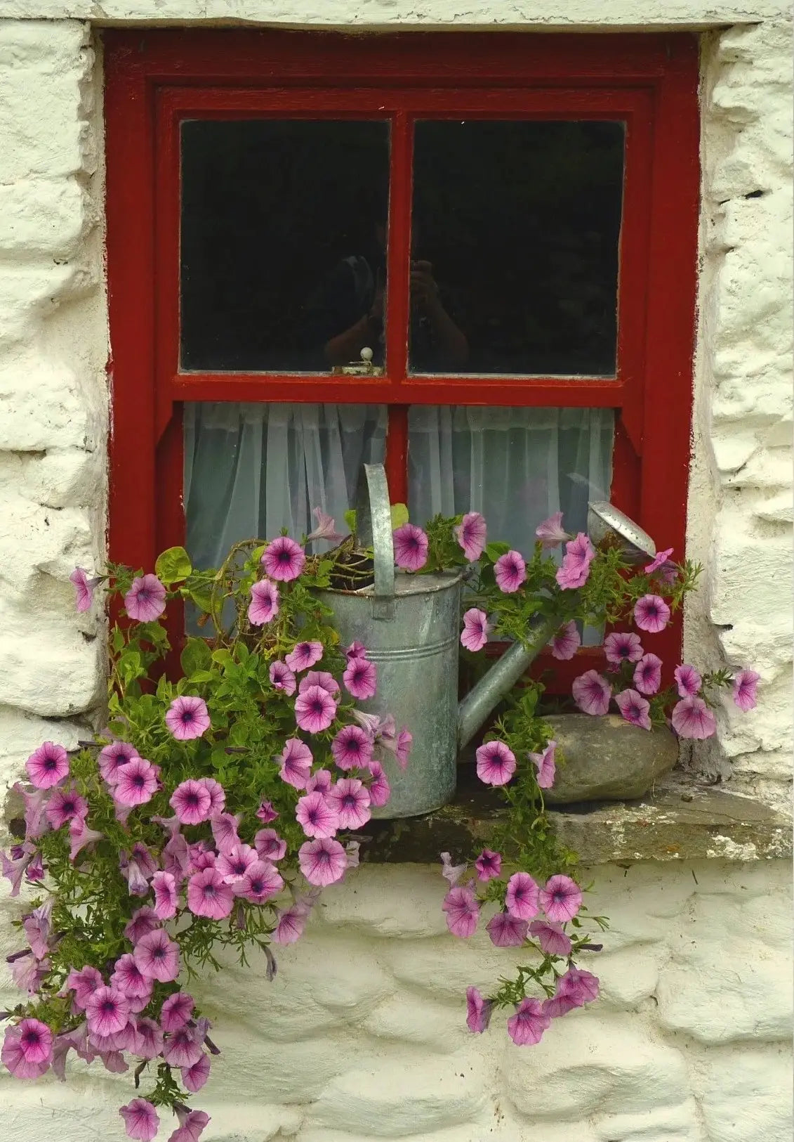 2nd Floor: Home & Garden Irland