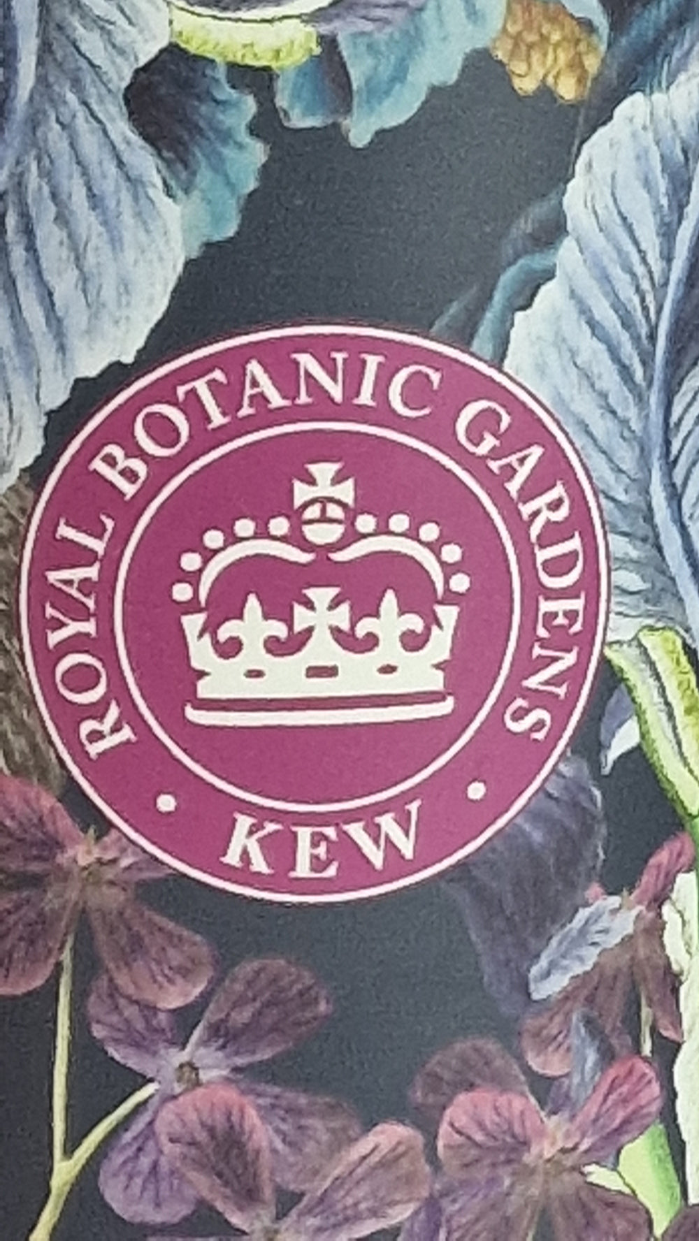 Iris Flüssigseife im Spender, 500ml, Royal Botanic Gardens Kew