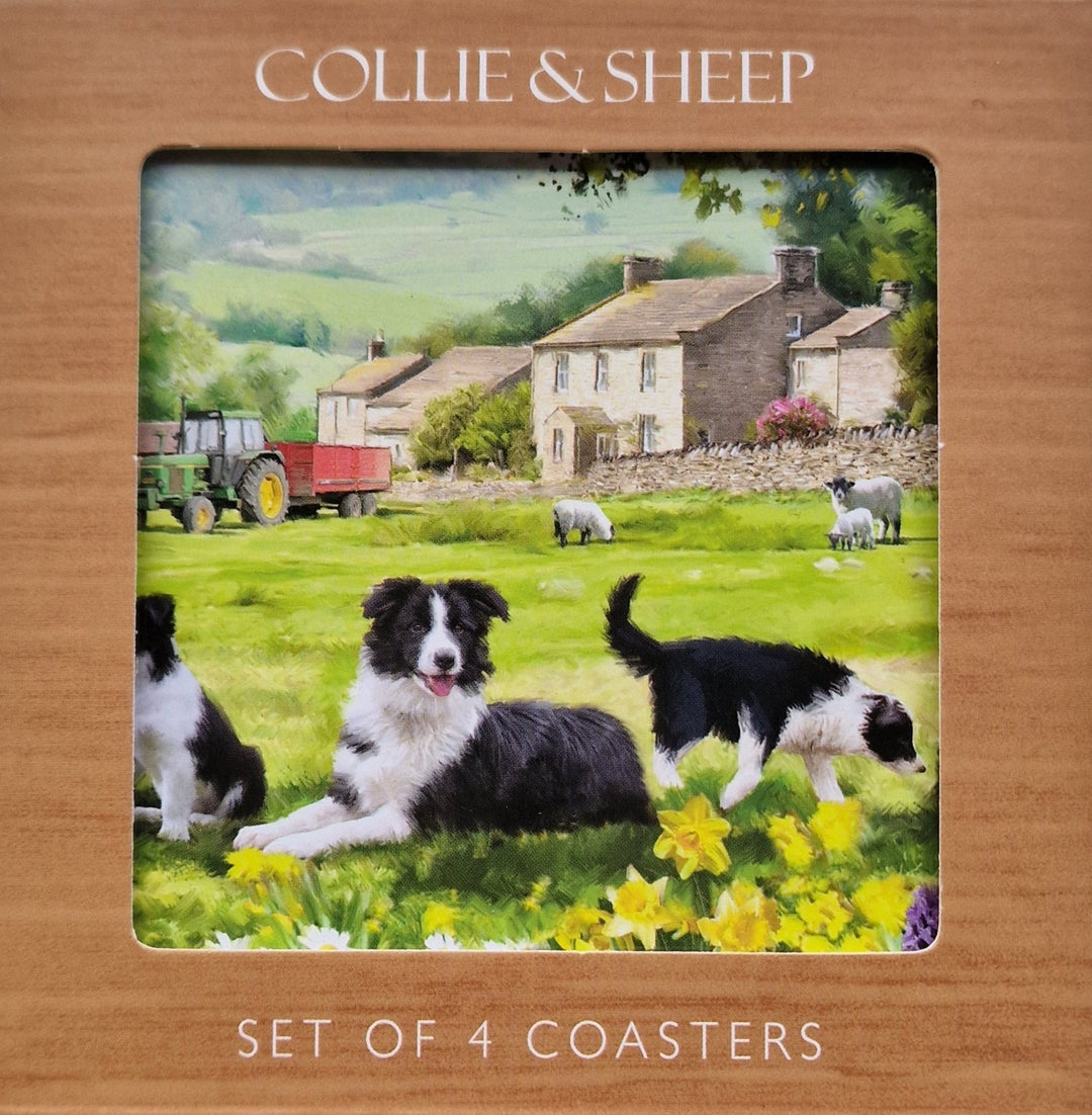 Porzellan Untersetzer , 4 er Set aus der "Collie & Sheep" Serie. Motiv 2