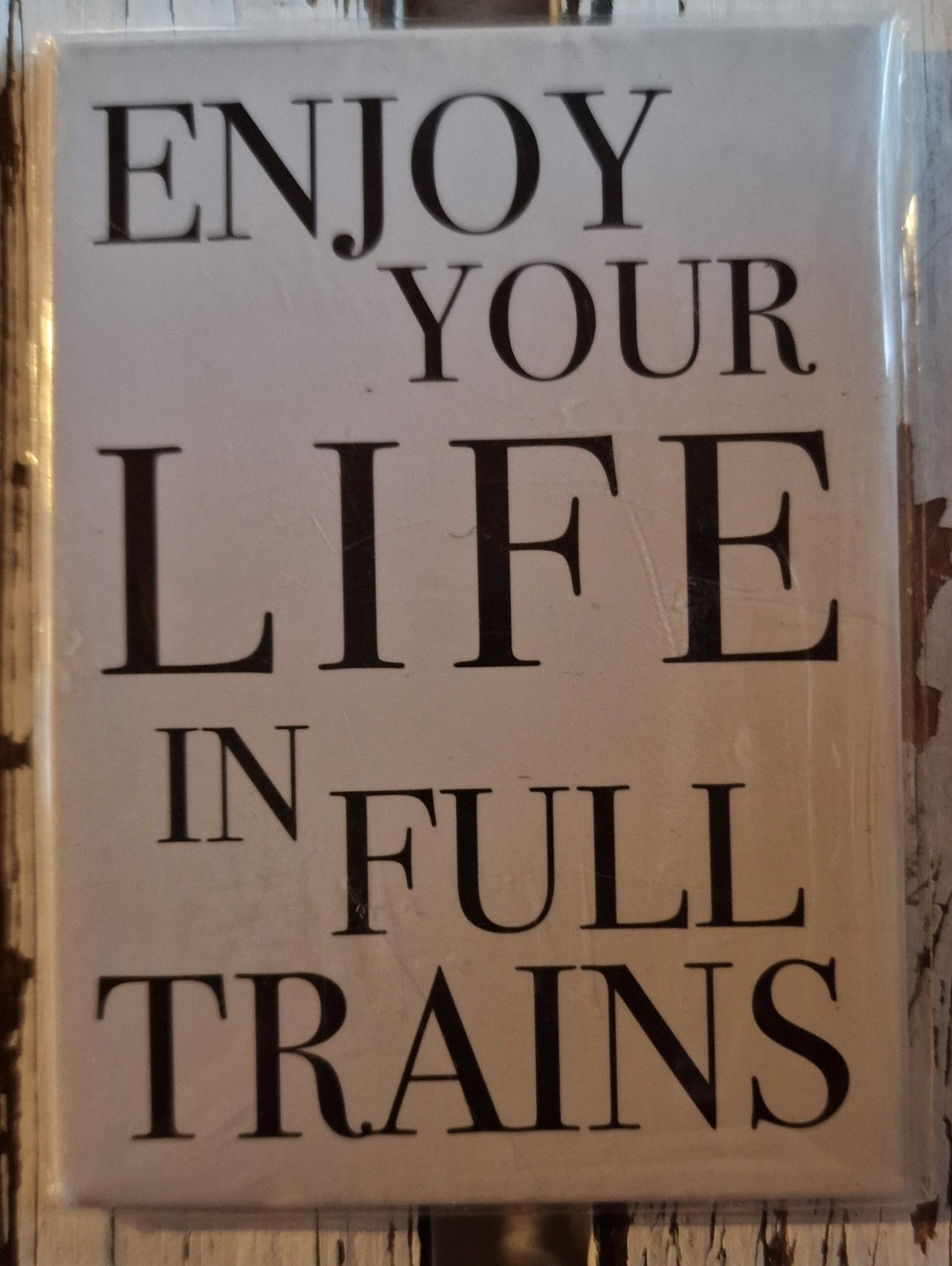 Magnetschild / Kühlschrankmagnet ,blau ,   Spaß-Englisch "Enjoy your life in full trains". 