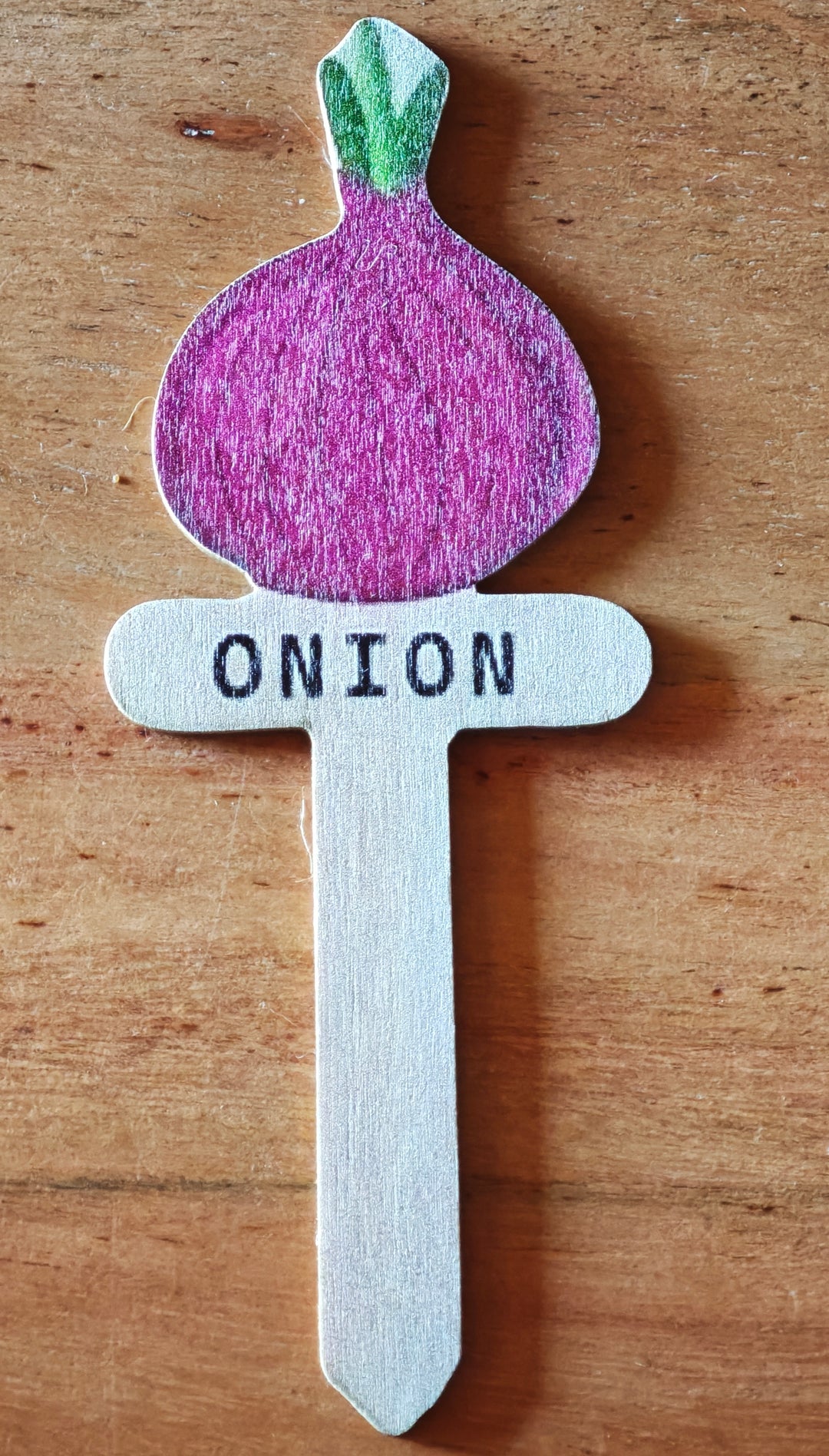 Beet Stecker Onion