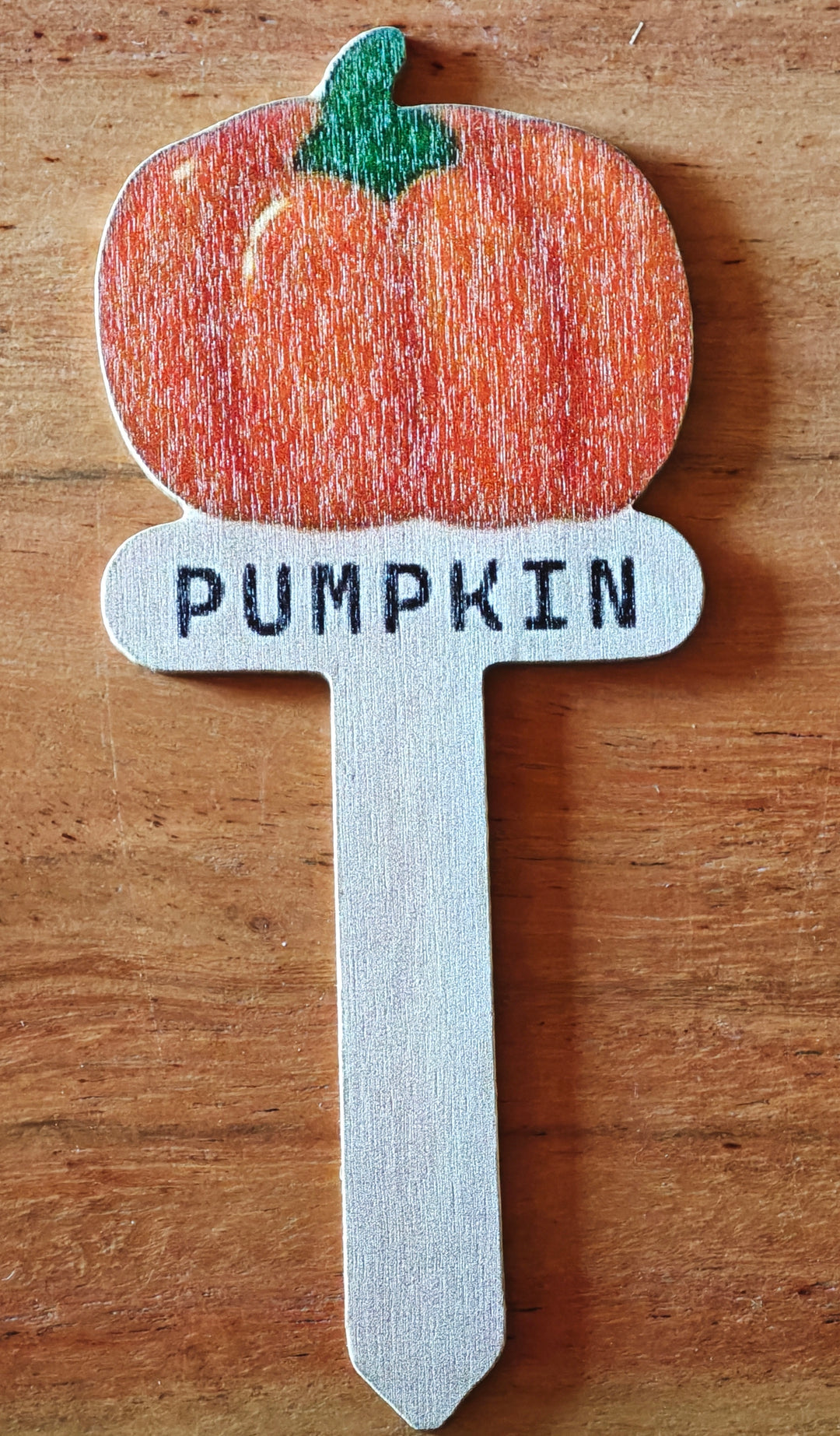 Beet Stecker Pumpkin