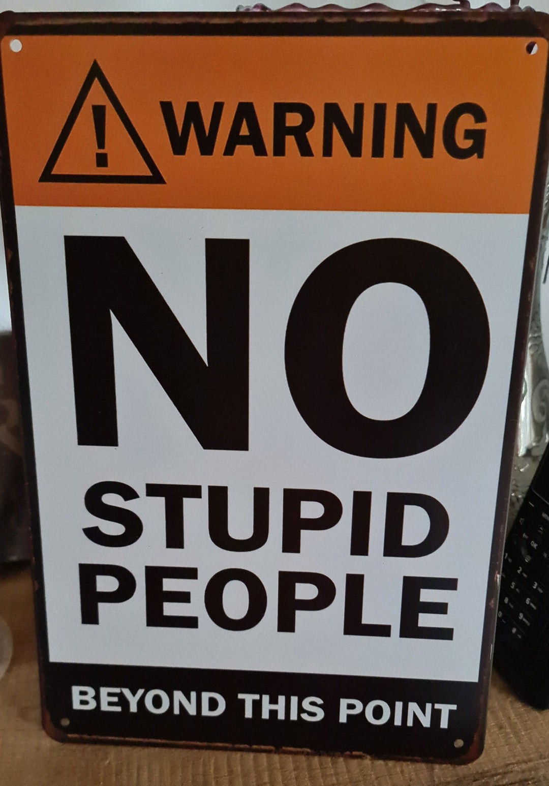 Blechschild  30 cm  x 20 cm mit Beschriftung "No stupid people beyond this point" - British Moments