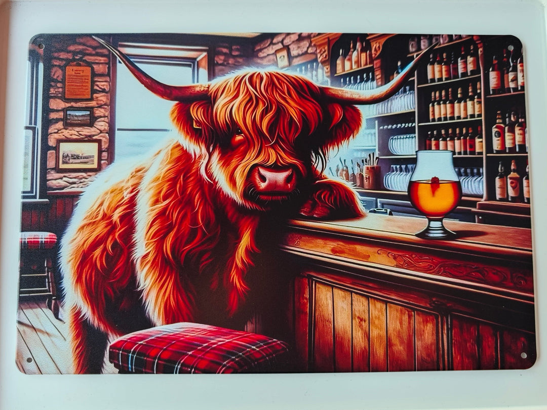 "Highland Cow im Pub " Blechschild