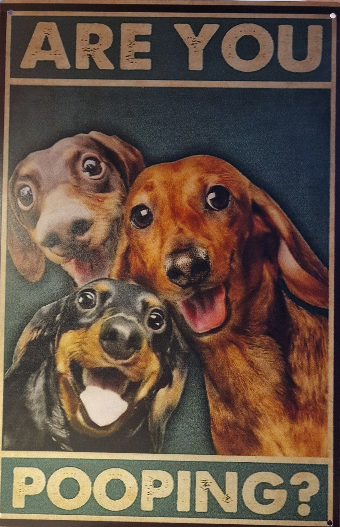 Blechschild " Hunde : "Are you pooping""