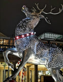 Bräuche und Traditionen: Weihnachtsbräuche in Großbritannien