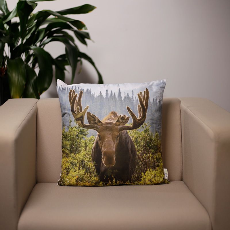 Elch Foto Kissen mit Innenkissen 50 x 50cm - British Moments / Fernweh-Kaufhaus
