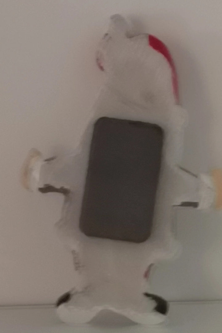 Kühlschrankmagnet Santa Claus in Badehose - British Moments