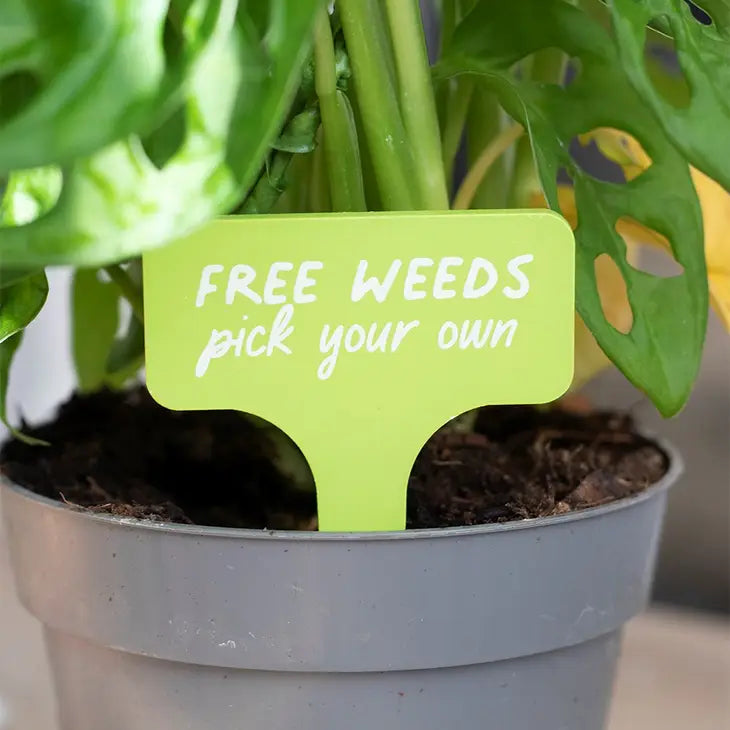 Mini MDF/ Holzschild  zum Einstecken in Blumentöpfe oder Beete :  Free Weeds"