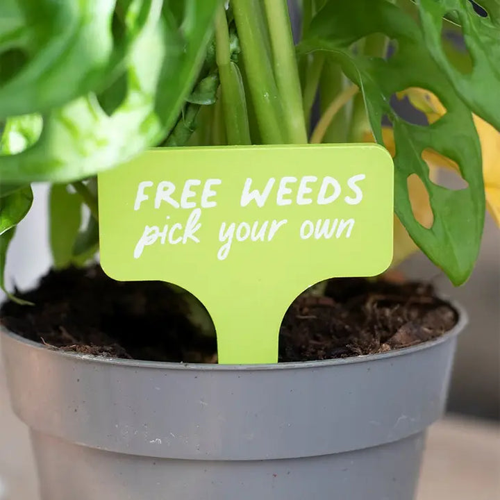 Mini MDF/ Holzschild  zum Einstecken in Blumentöpfe oder Beete :  Free Weeds"