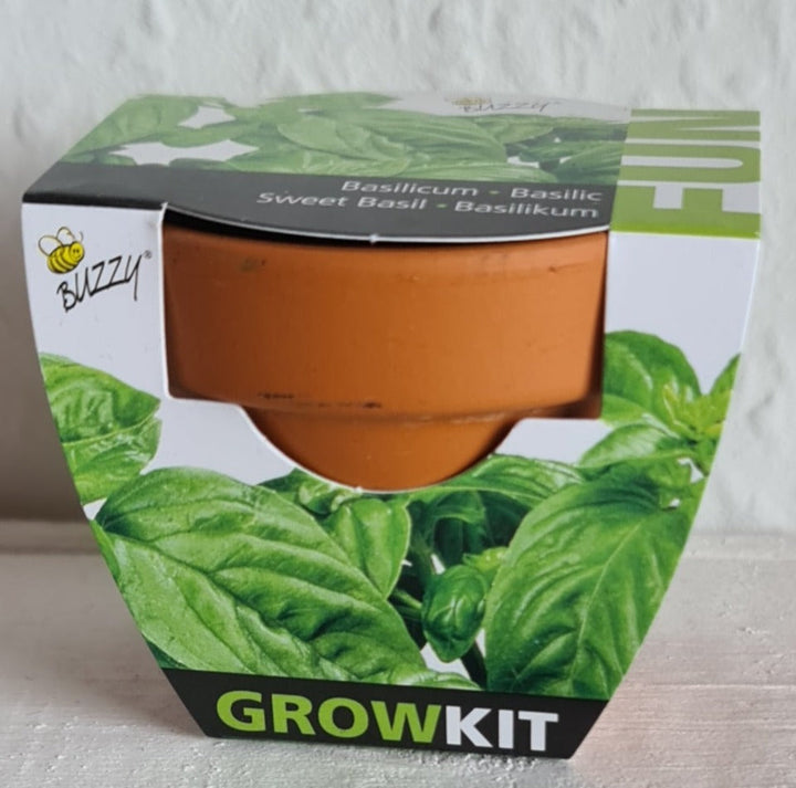 Mini Pflanzset " Basil, Basilikum , ca. 5 cm Töpchen mit Basilikum Samen - British Moments / Fernweh-Kaufhaus