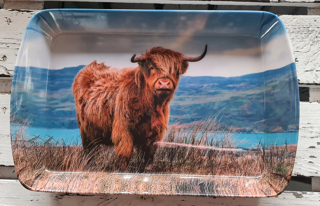 Mini Tablett  "Highland Cow "  (Lesser&Pavey) - British Moments / Fernweh-Kaufhaus