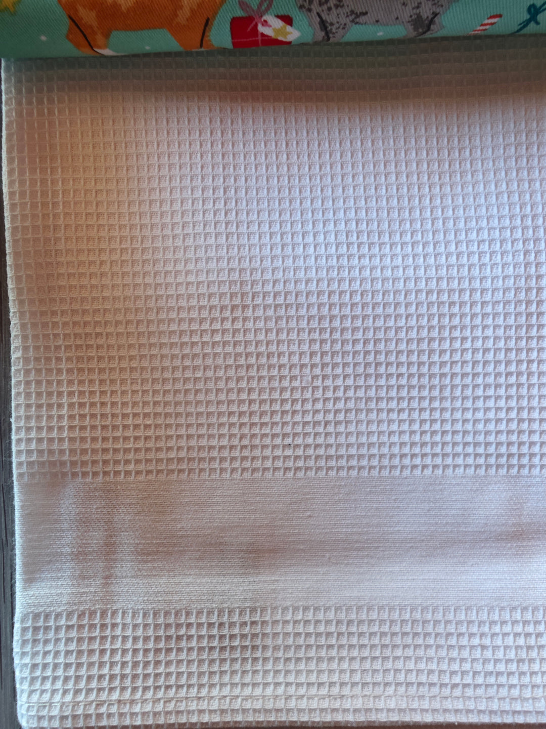 Ulster Weavers Geschirrtücher 3er Set  mit  Katzen - Motiven, hellgrün