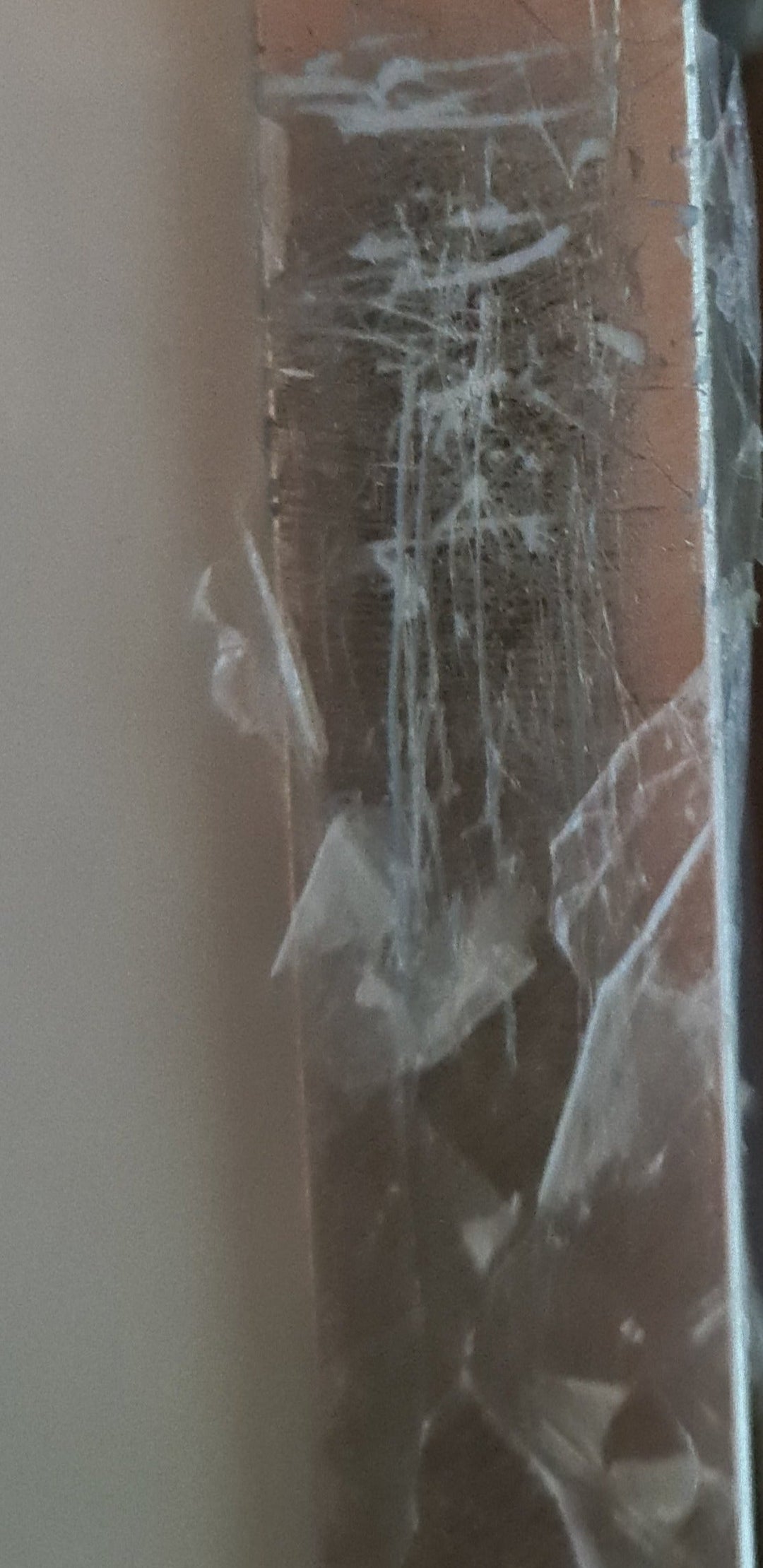 SALE !!!!  Aquarelldruck von Claire Tarling "Hund mit Krone" - British Moments / Fernweh-Kaufhaus