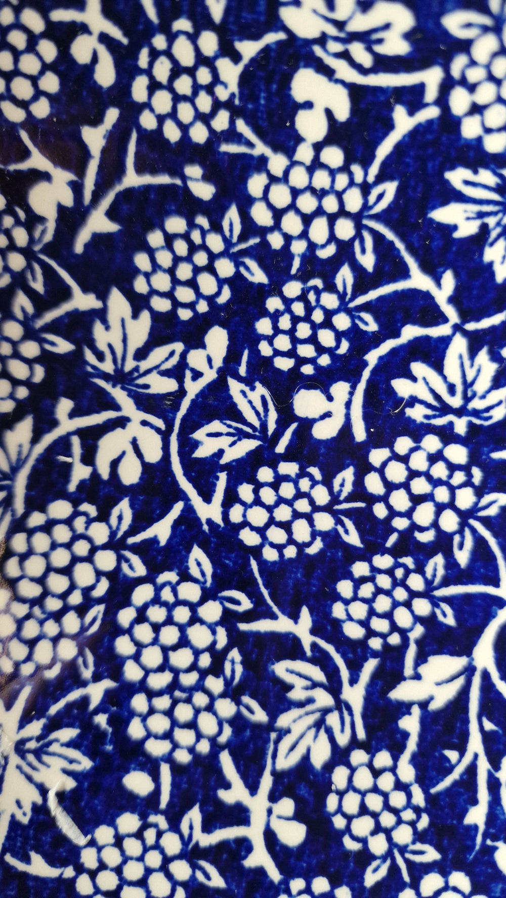 Tiefer Teller/ Schale, Motiv : Blackberry Blue Royal Stafford