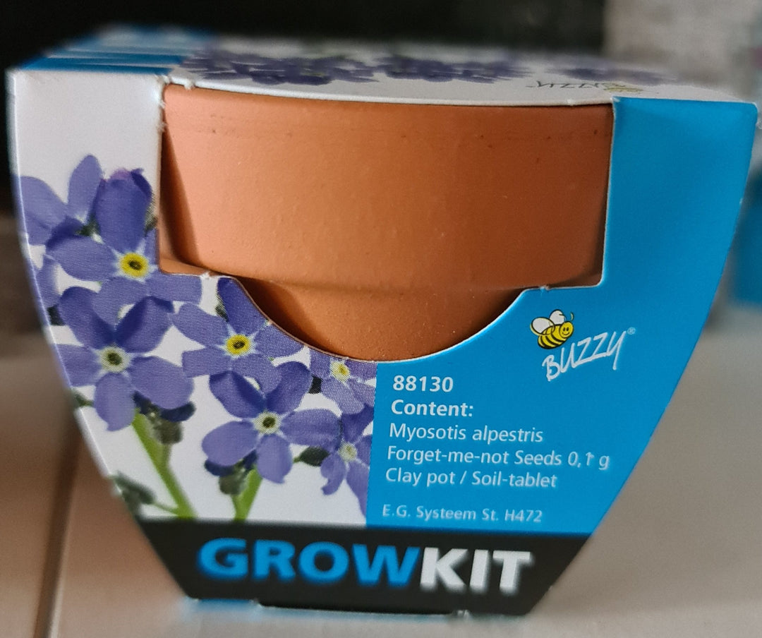 Mini Pflanzset " Grow Kit Vergissmeinnicht (Forget-me-not)", ca. 5 cm Töpchen mit Vergissmeinnichtsamen - British Moments