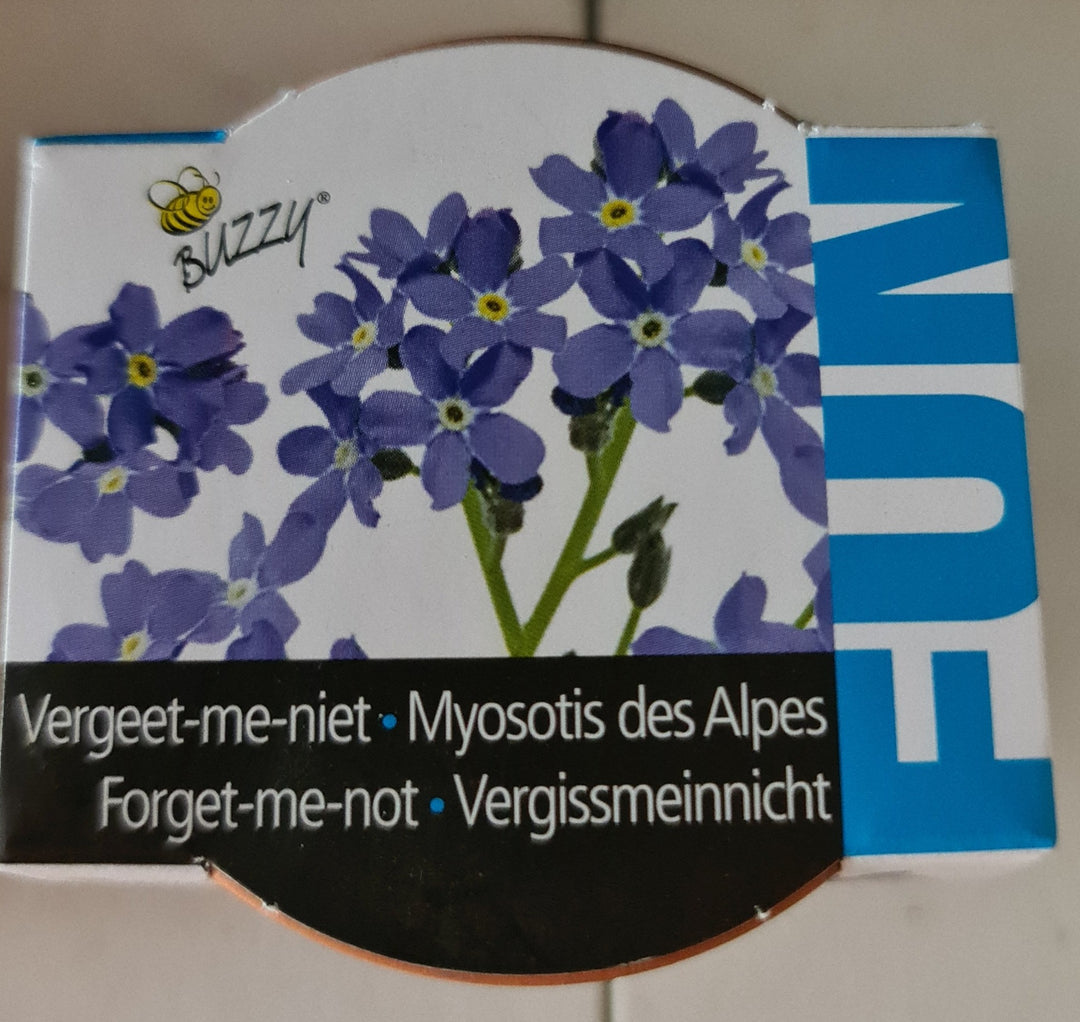 Mini Pflanzset " Grow Kit Vergissmeinnicht (Forget-me-not)", ca. 5 cm Töpchen mit Vergissmeinnichtsamen - British Moments