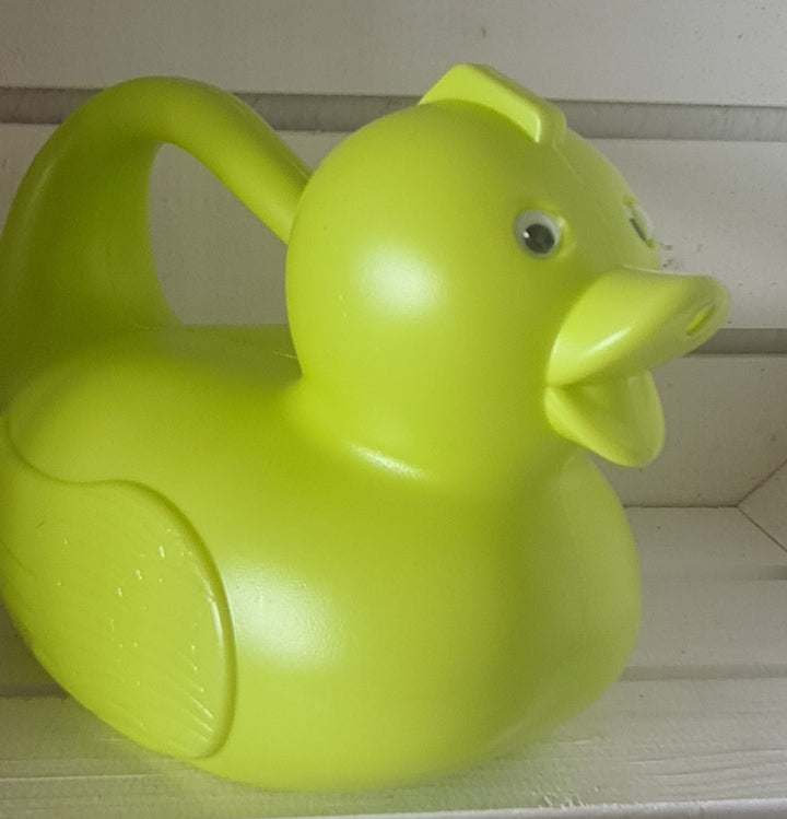 Gießkanne , Kunststoff in Form einer Ente, grün - British Moments / Fernweh-Kaufhaus