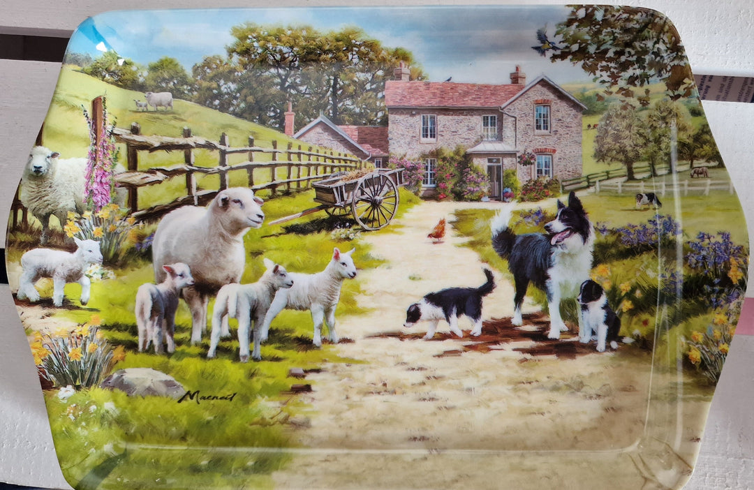 Mini Tablett  aus der "McNeil Collie & Sheep""-Serie von Leonardo (Lesser&Pavey) - British Moments / Fernweh-Kaufhaus