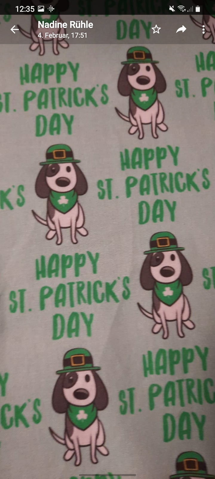 Reisekissen Motiv "Irland / St. Patrick's Day Hund, hellgrün" Größe 35cm  x 22 cm, Handarbeit - British Moments