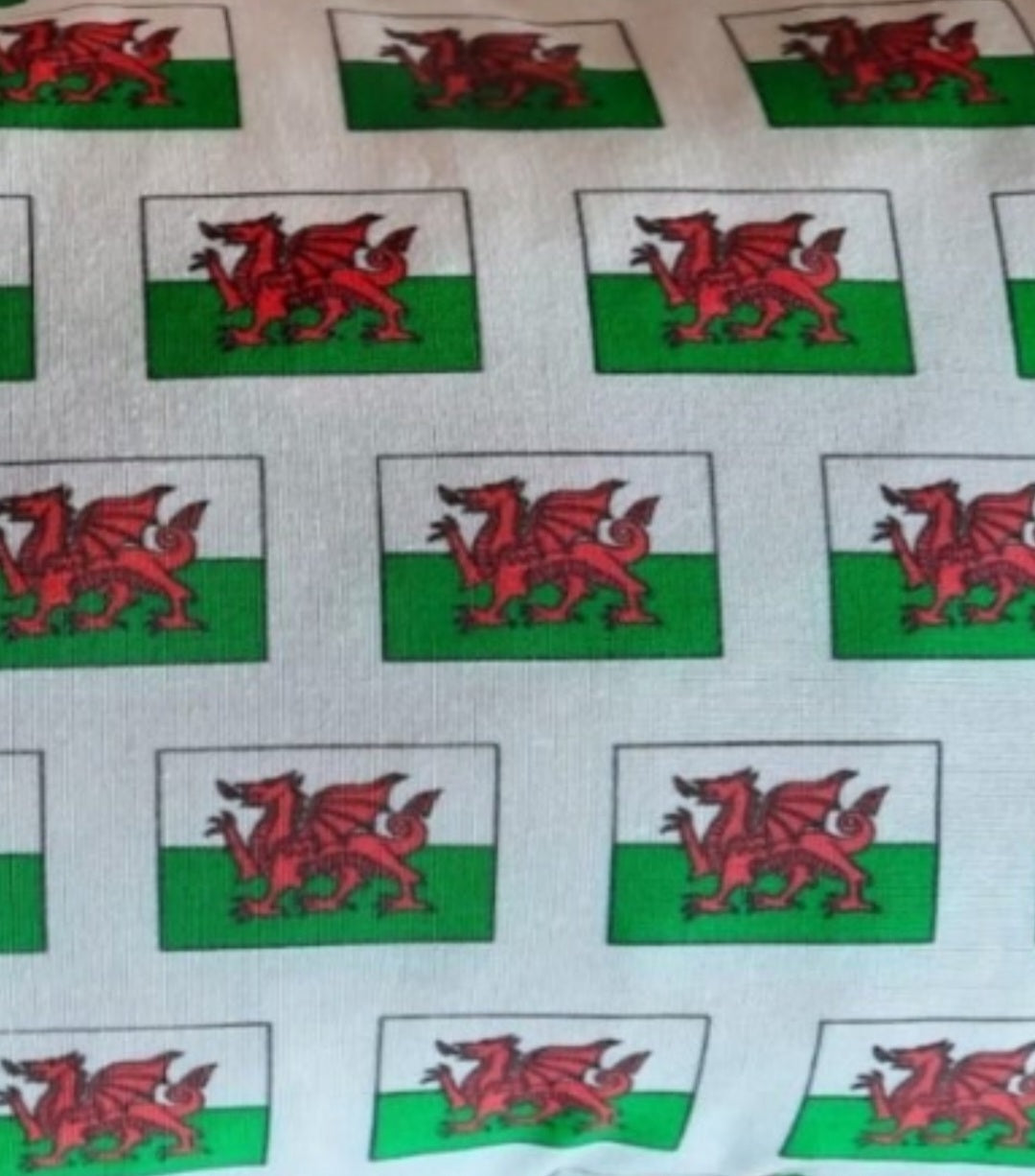 Reisekissen Motiv "Wales Flagge" Größe 35cm  x 22 cm, Handarbeit - British Moments / Fernweh-Kaufhaus